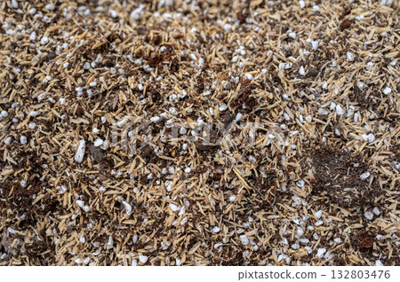 Full frame shot of potting soil mix and blend by coconut coir, rice husks, cow dung and Perlite. This soil is a soilless, man-made substrate specifically designed for growing plants. 132803476