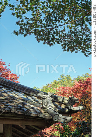 Maple trees and blue sky at Yamadera Maple trees and blue sky at Yamadera 132803498