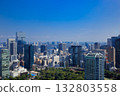 View of the city center from Tokyo Tower 132803558