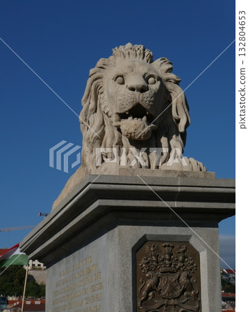 Buda District 132804653