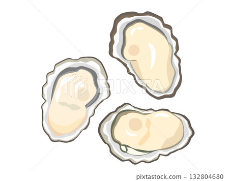 Illustration of oysters in their shells Illustration of oysters in their shells 132804680