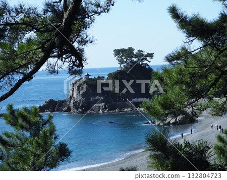 從高處俯瞰桂濱海灘和龍王岬 從高處俯瞰桂濱海灘和龍王岬 132804723