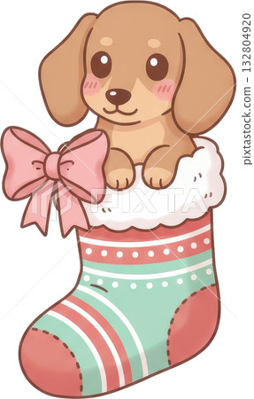 Adorable dachshund puppy peeking out of a festive Christmas ing with a pink bow Adorable dachshund puppy peeking out of a festive Christmas ing with a pink bow 132804920