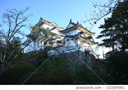 伊賀上野城複製主塔，伊賀市 132804961