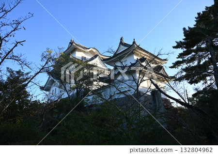 Iga Ueno Castle replica main tower, Iga City Iga Ueno Castle replica main tower, Iga City 132804962