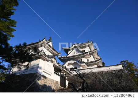 Iga Ueno Castle, Castle Tower, Iga City 132804965
