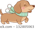 Cute cartoon dachshund dog wearing a green and white plaid scarf 132805063