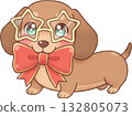 Cute dachshund puppy with star glasses and red bow tie 132805073