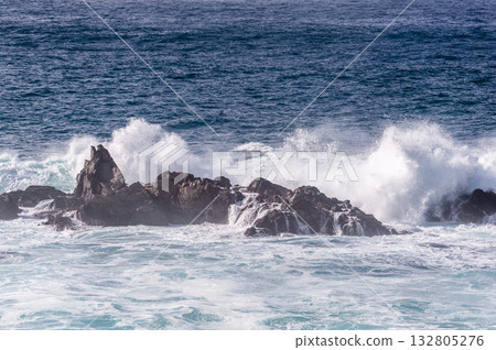 The Pacific Coast The Pacific Coast 132805276