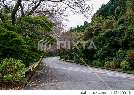 箱根山路和銀色SUV 箱根山路和銀色SUV 132805508
