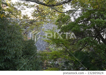 伊賀上野城，高高的石牆，伊賀市 132805624