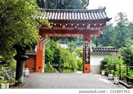 宇治市：三門和三室堂的繡球花 132805763