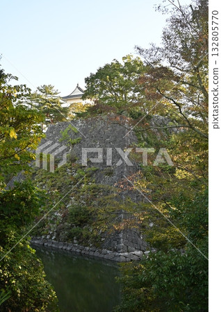 伊賀上野城，高聳的石牆，城堡天守閣，伊賀市 132805770