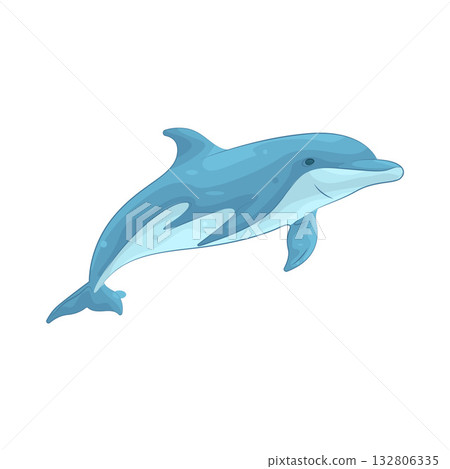 Illustration of dolphin  132806335