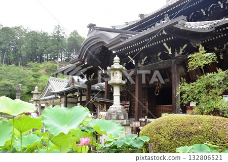 宇治市:三室戶寺正殿和蓮花 宇治市:三室戶寺正殿和蓮花 132806521