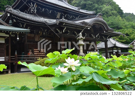 宇治市：三室戶寺正殿和蓮花 132806522