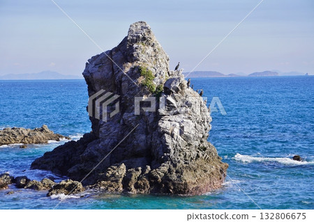 Futami Rock on the east coast of Shikanoshima Island. Cormorants and grey herons. Futami Rock on the east coast of Shikanoshima Island. Cormorants and grey herons. 132806675