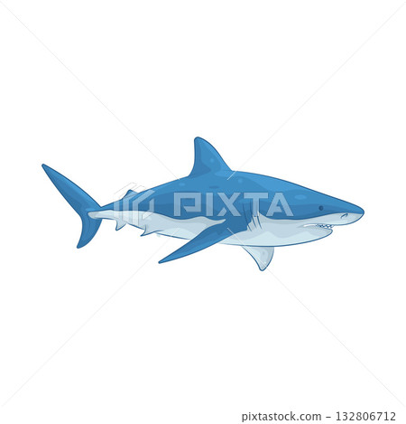 Illustration of shark 132806712