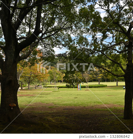 21st Century Forest and Plaza, Matsudo City, Chiba Prefecture 132806842