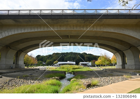 Overpass, 21st Century Forest and Plaza, Matsudo City, Chiba Prefecture Overpass, 21st Century Forest and Plaza, Matsudo City, Chiba Prefecture 132806846