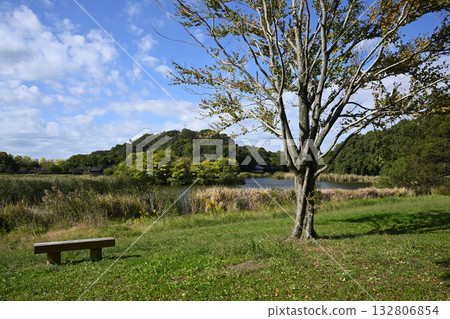 Sendabori Pond and benches at 21st Century Forest and Plaza, Matsudo City, Chiba Prefecture 132806854