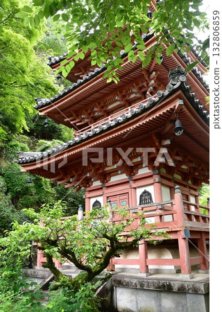 Uji City: Mimuroto Temple's three-story pagoda and fresh greenery 132806859