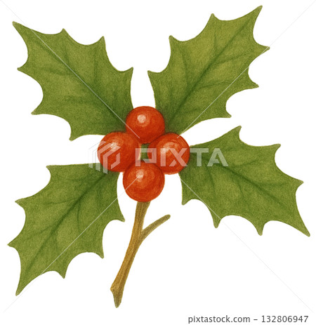 Holly Leaves Clipart Vintage Christmas Plant Retro Holiday Holly Leaves Clipart Vintage Christmas Plant Retro Holiday 132806947