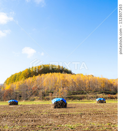 A refreshing autumn sky and traditional Niozumi scenery A refreshing autumn sky and traditional Niozumi scenery 132807163