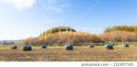 A refreshing autumn sky and traditional Niozumi scenery A refreshing autumn sky and traditional Niozumi scenery 132807165