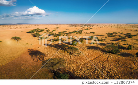 Aerial view of the vast land of Africa Aerial view of the vast land of Africa 132807374