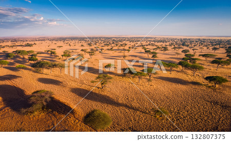 Aerial view of the vast land of Africa 132807375