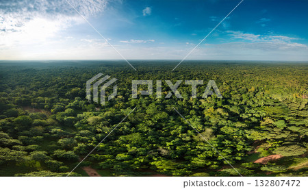 A vast forest photographed from above by a drone 132807472