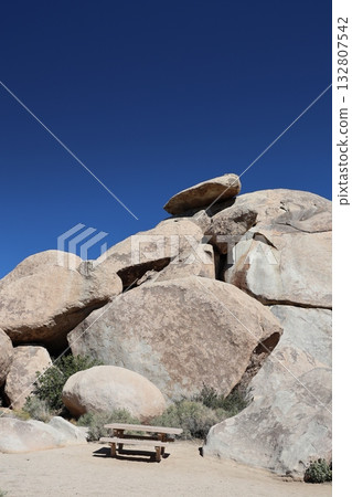 加州約書亞樹國家公園 加州約書亞樹國家公園 132807542