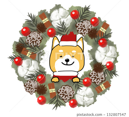 A gorgeous Christmas wreath and a Shiba Inu Santa peeking through a hole 132807547
