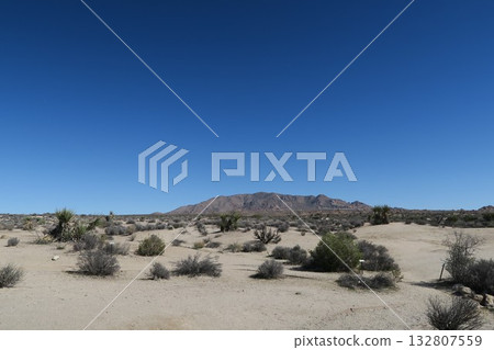 Joshua Tree National Park, California Joshua Tree National Park, California 132807559