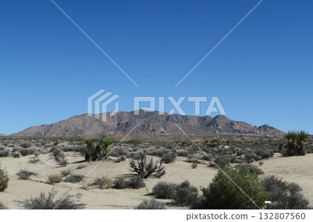 Joshua Tree National Park, California Joshua Tree National Park, California 132807560