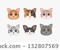 adorable cartoon six cat faces  132807569