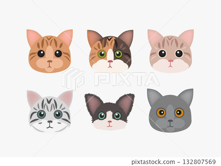 cat, cats, kitty 132807569