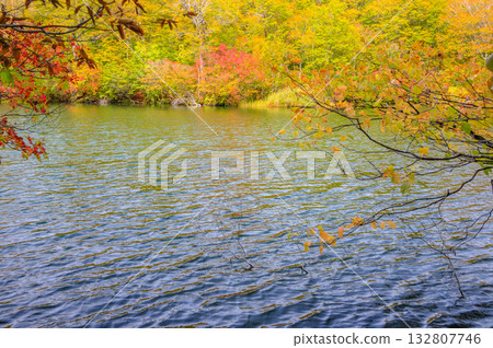 秋天的釜池【北安地區小谷村】 秋天的釜池【北安地區小谷村】 132807746