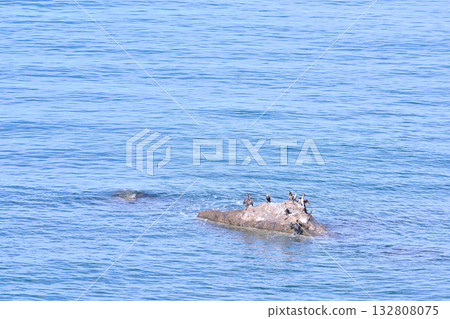 Reef for resting 132808075