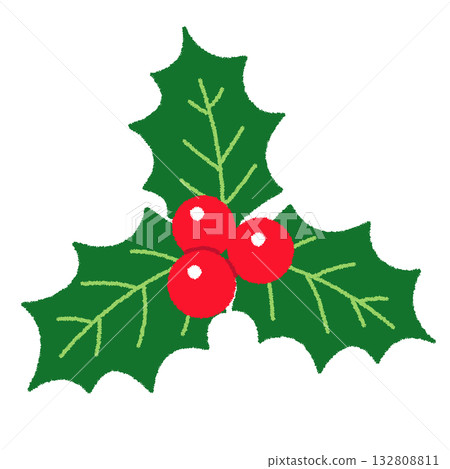 Christmas holly illustration 132808811
