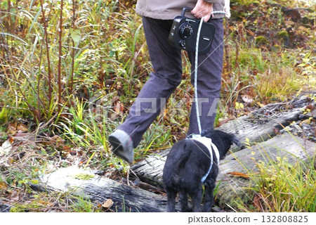 Bear repellent measures for morning and evening dog walks Bear repellent measures for morning and evening dog walks 132808825