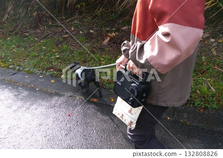 Bear repellent measures for morning and evening dog walks Bear repellent measures for morning and evening dog walks 132808826