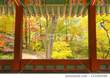 A palaces with beautiful autumn foliage 132809386