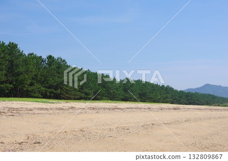 Keino Matsubara, Minamiawaji City, Hyogo Prefecture 132809867