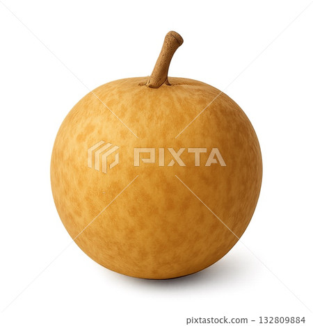 一幅逼真的龍眼剪紙插圖，背景透明。 132809884