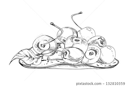 Sour sweet line cherry berries on ceramic plate, hand drawn vector ink, ripe cerise with leaves, stems. Isolated composition illustration. For restaurant, cafe dessert menu, wedding, farmers market Sour sweet line cherry berries on ceramic plate, hand drawn vector ink, ripe cerise with leaves, stems. Isolated composition illustration. For restaurant, cafe dessert menu, wedding, farmers market 132810359