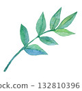 Watercolor illustration, hand-drawn illustration, nandina leaves 132810396