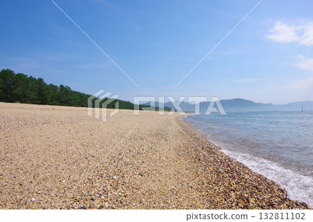 兵庫縣南淡路市慶野松原海灘 132811102