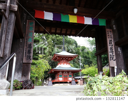 The pagoda seen from the gate of Jison-in Temple, a World Heritage Site 132811147